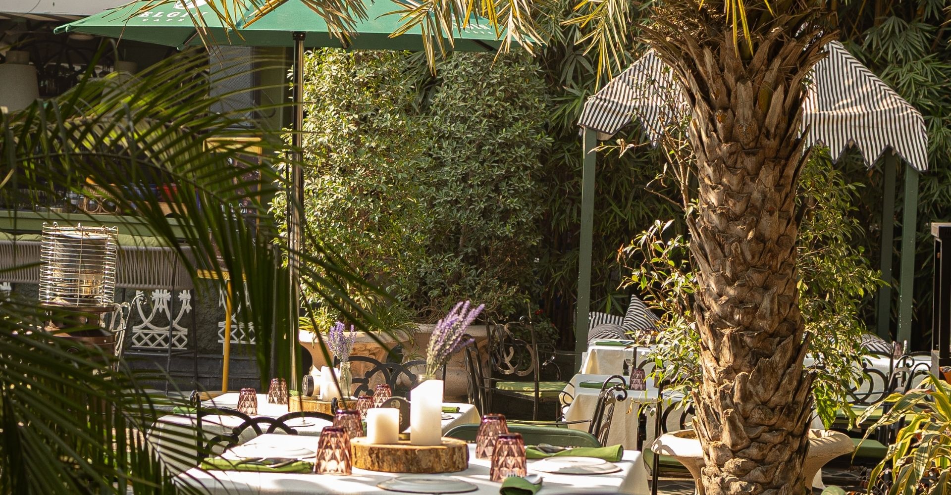 Elgin Café garden